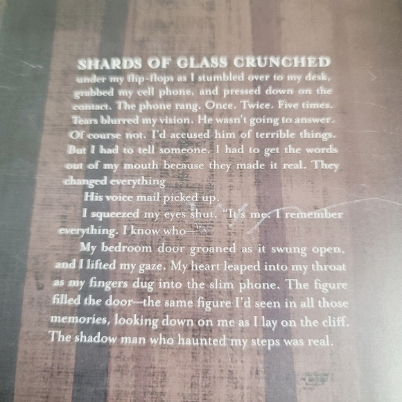 Don't Look Back by Jennifer L. Armentrout Hardcover Book - Picture 3 of 11